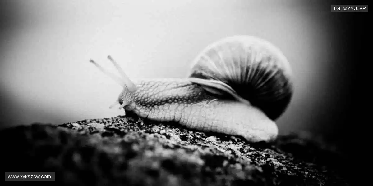 🎁潮酷周边,把热爱穿在身上!